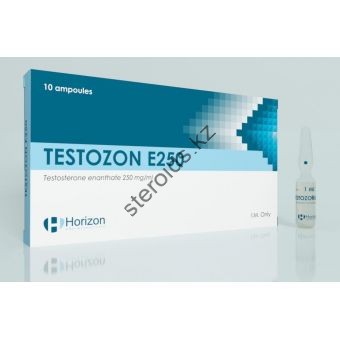 Тестостерон энантат Horizon Testozon E 250 (10 ампул) 250мг/1мл - Костанай